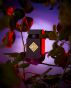 INITIO CARNAL ATOMIC ROSE EDP 90ML