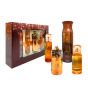 AJMAL SHINE GIFT SET X4